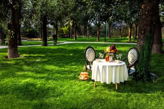 秋陽鴻園，芳草青青