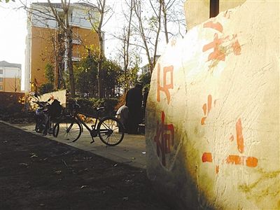 昨日，“上海奇石盆景博物館”原址上，已矗立起小區(qū)樓盤，而刻著博物館名的巨石，廢棄在一旁。本版圖片/新京報(bào)記者 張永生 攝