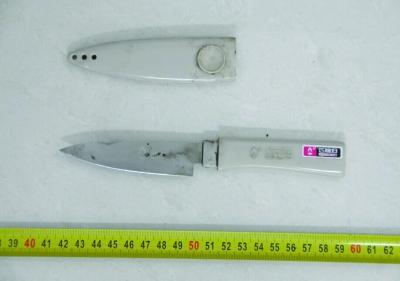 負(fù)債男尋死不成 捅死女鄰居謊稱情殺并縱火 負(fù)債男尋死不成 捅死女鄰居謊稱情殺并縱火