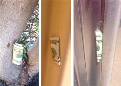 “隱藏的鈔票”會被神秘人藏在公園、廁所等“奇怪的地方”。