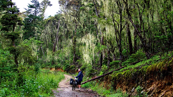 度個(gè)最特別的冬天 盤(pán)點(diǎn)12月最佳出游地 度個(gè)最特別的冬天 盤(pán)點(diǎn)12月最佳出游地