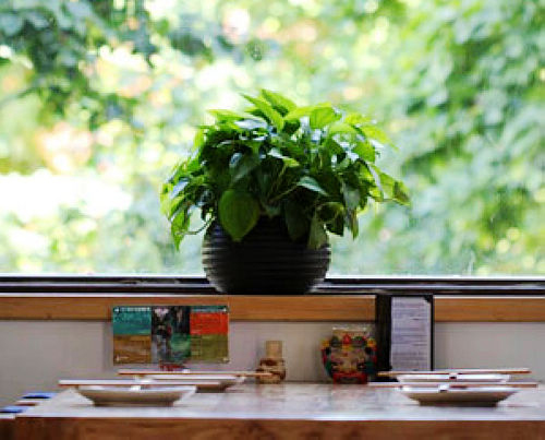 一坐一忘麗江主題餐廳 獨(dú)門漆油雞 一坐一忘麗江主題餐廳 獨(dú)門漆油雞