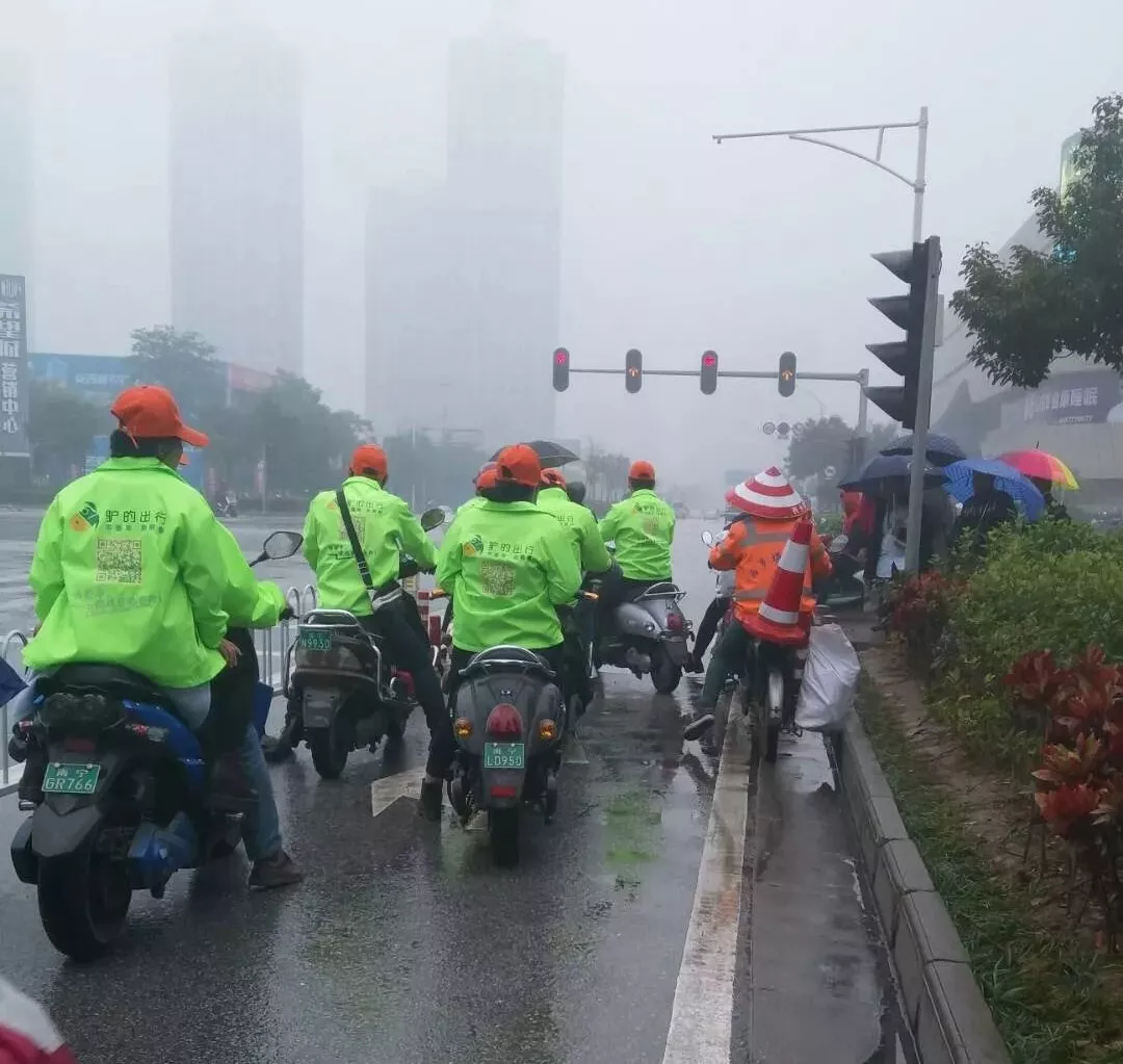 出門打驢？ 南寧“滴滴打驢”被緊急叫停