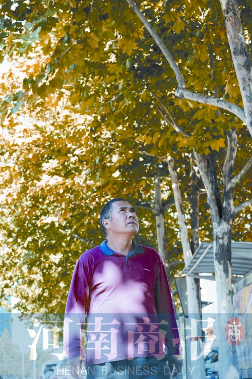 郭長(zhǎng)安巡視自己栽下并管理十年的法桐樹(shù) 郭長(zhǎng)安巡視自己栽下并管理十年的法桐樹(shù)